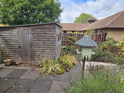 Picture 27